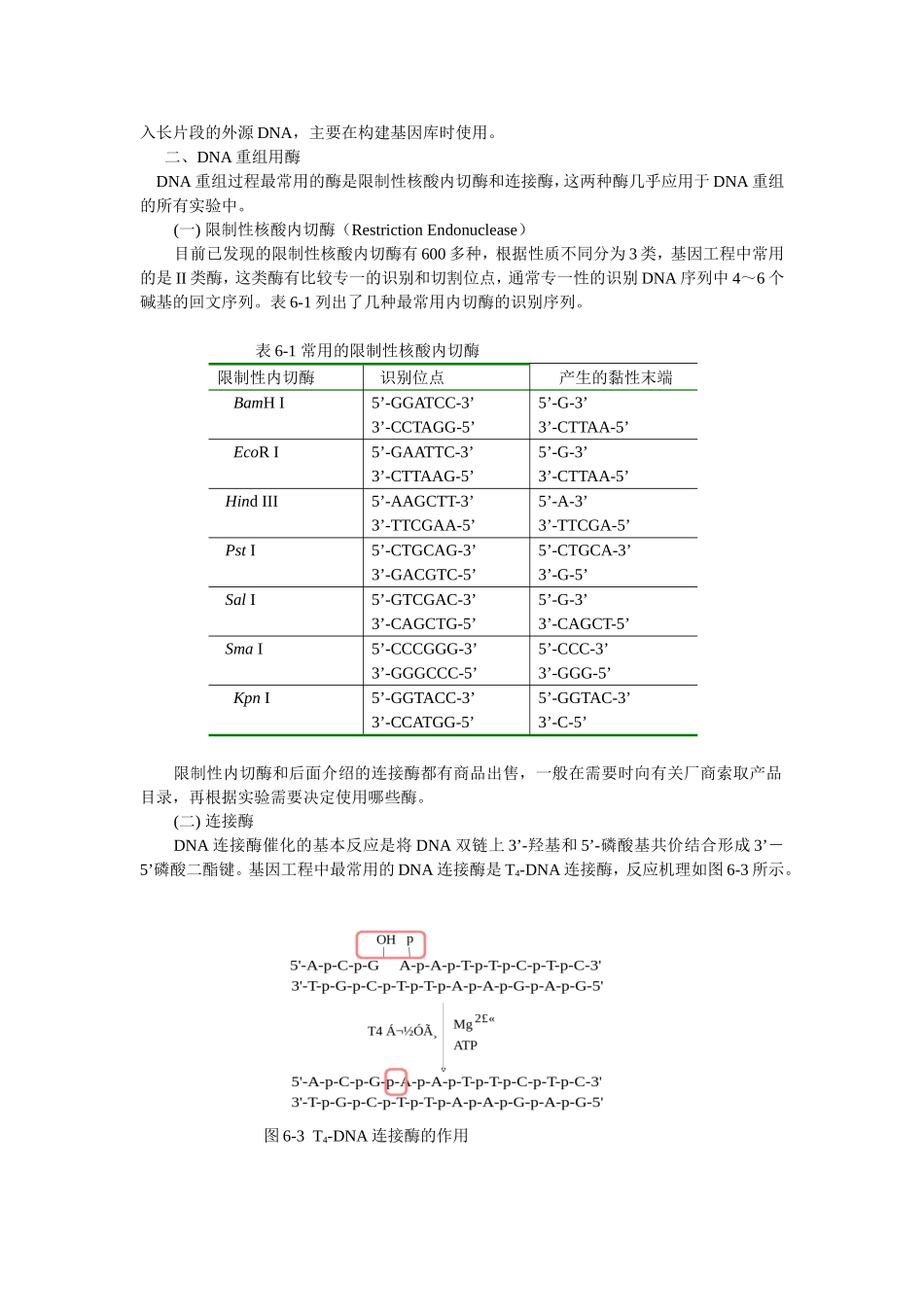 基因工程育种技术_第3页