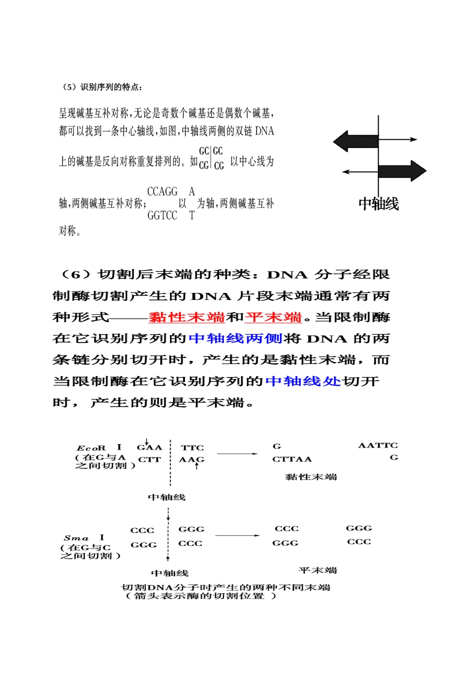 基因工程知识点-超全_第2页