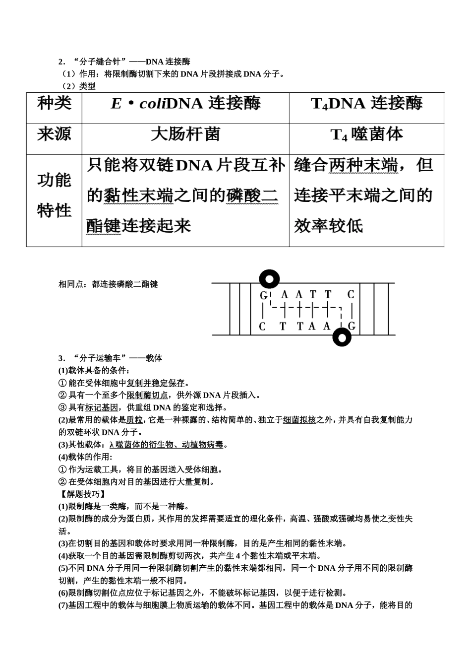 基因工程知识点-超全_第3页