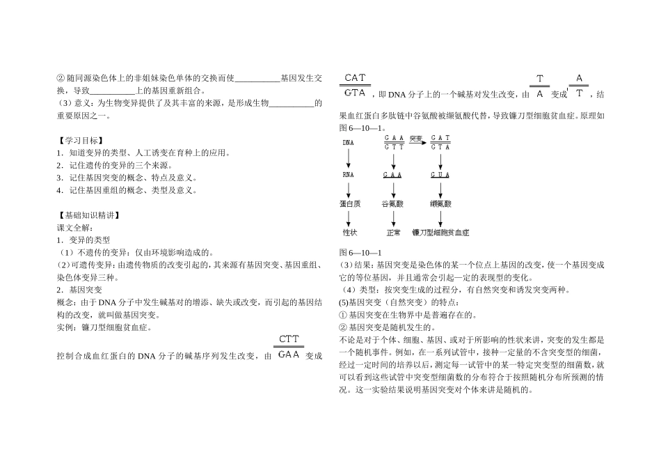 基因突变和基因重组_第2页