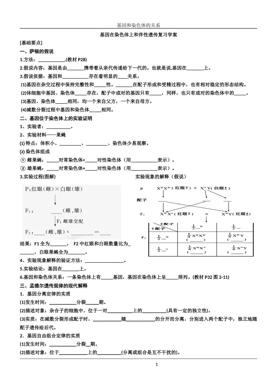 基因在染色体上学案_第1页