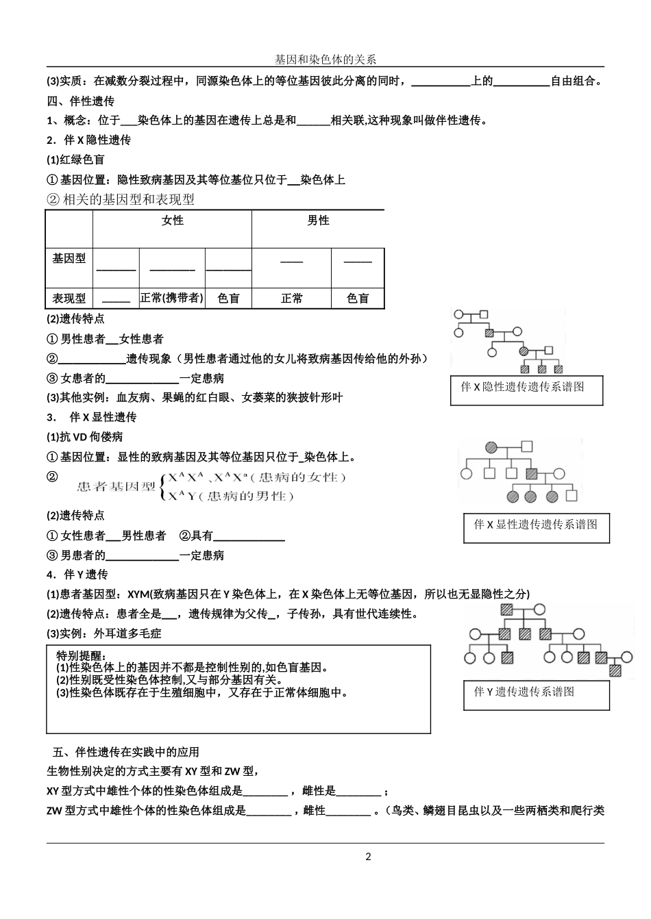 基因在染色体上学案_第2页