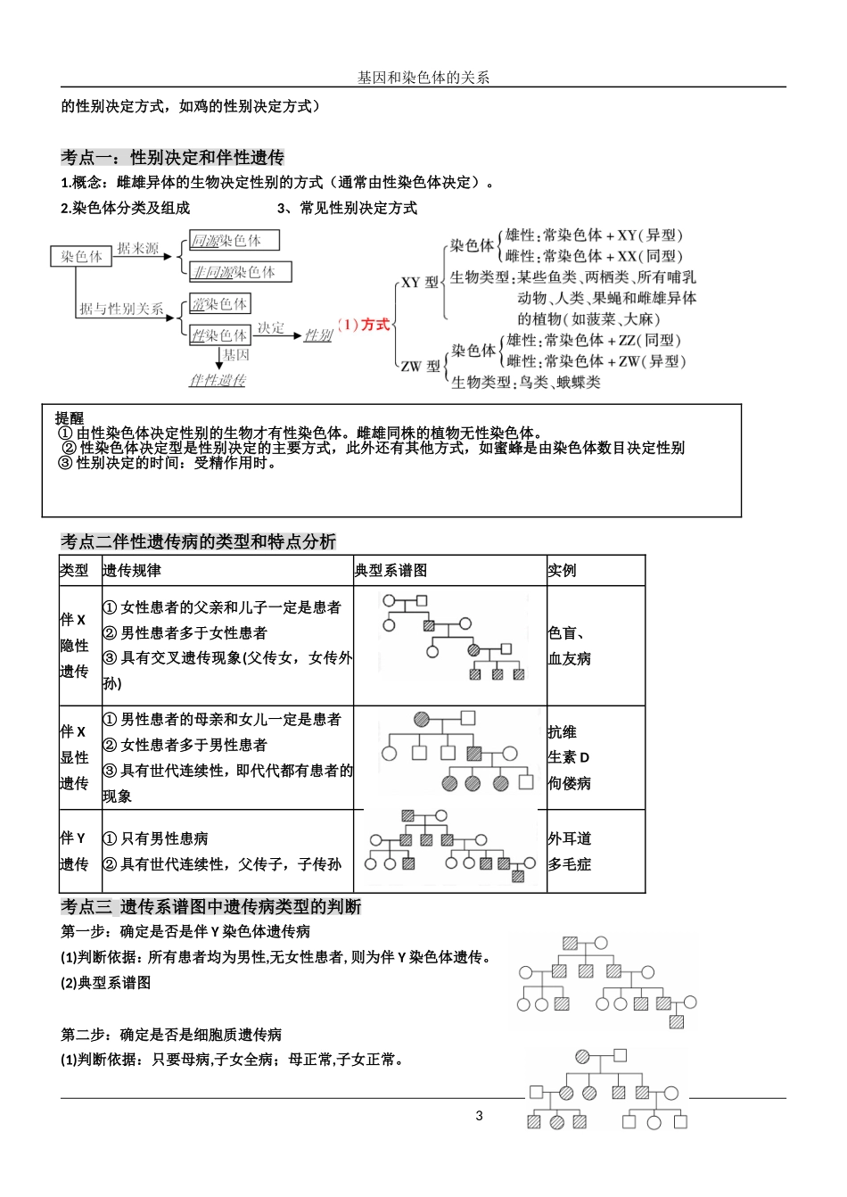 基因在染色体上学案_第3页