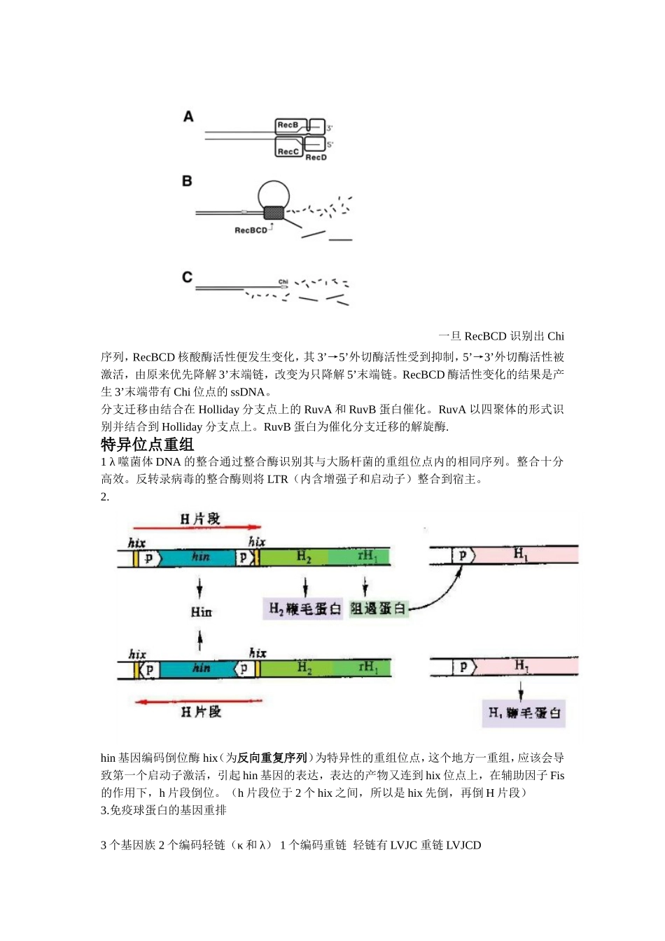 基因重组和基因工程总结-贻宏。。_第2页