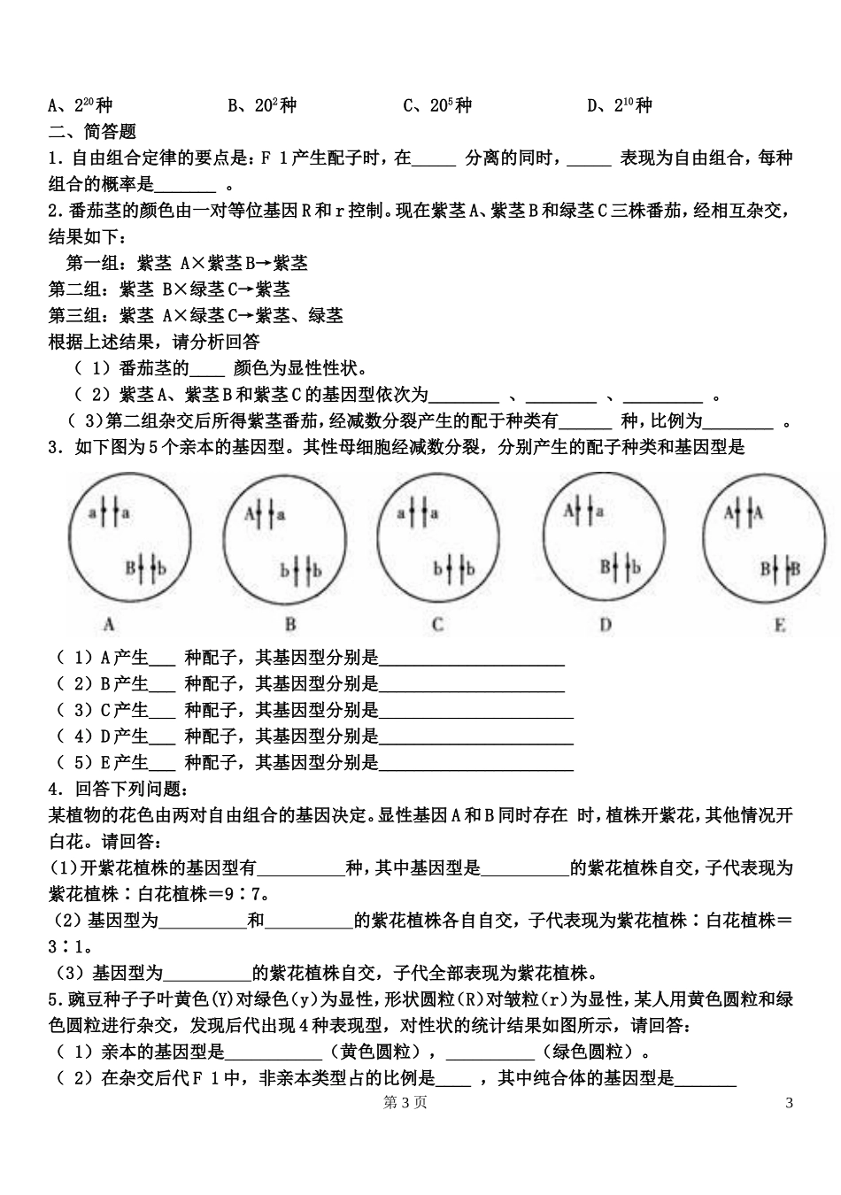 基因自由组合定律基础习题(有答案)_第3页