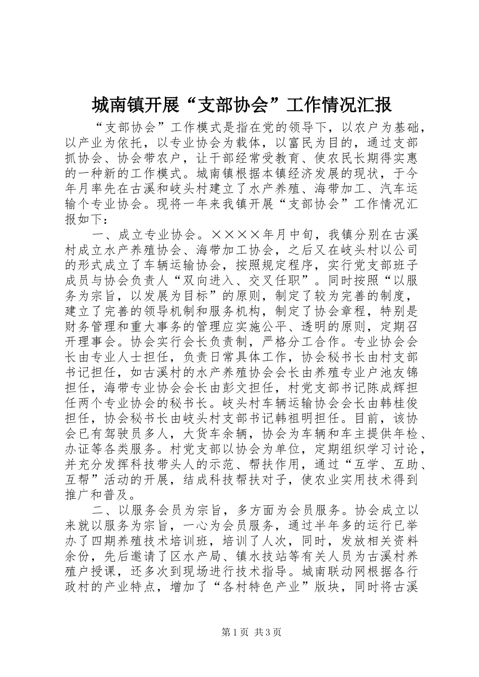 2024年城南镇开展支部协会工作情况汇报_第1页