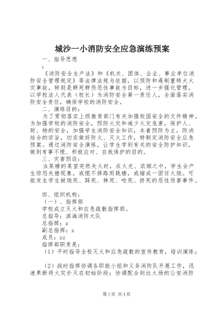 2024年城沙一小消防安全应急演练预案
