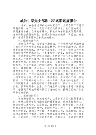2024年城沙中学党支部副书记述职述廉报告