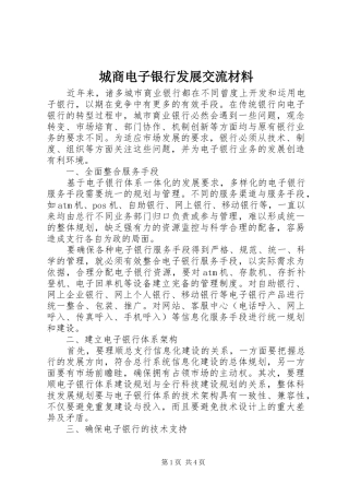 2024年城商电子银行发展交流材料