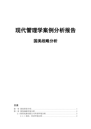 国美案例分析
