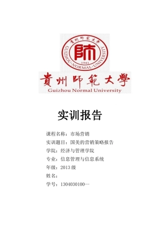 国美营销战略研究报告