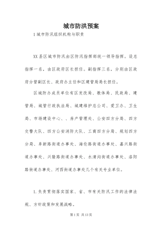 2024年城市防洪预案