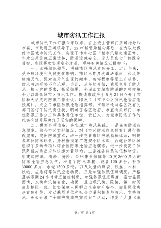 2024年城市防汛工作汇报