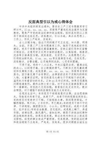 2024年反面典型引以为戒心得体会