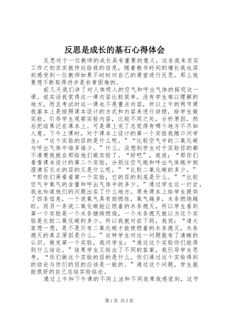 2024年反思是成长的基石心得体会
