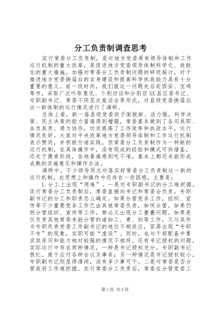 2024年分工负责制调查思考