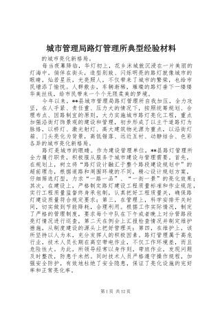 2024年城市管理局路灯管理所典型经验材料