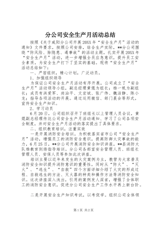 2024年分公司安全生产月活动总结