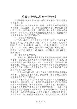 2024年分公司半年总结后半年计划