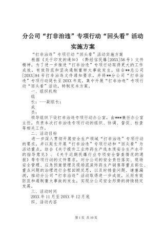 2024年分公司打非治违专项行动回头看活动实施方案