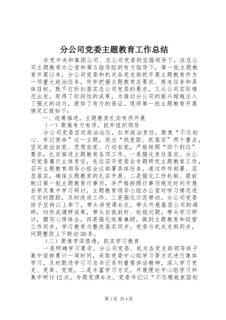 2024年分公司党委主题教育工作总结