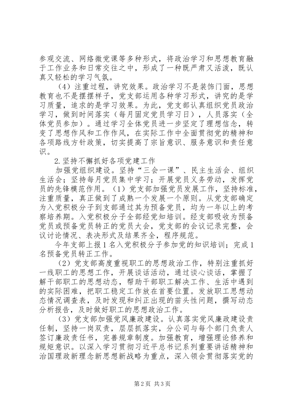 2024年分公司党支部工作总结_第2页