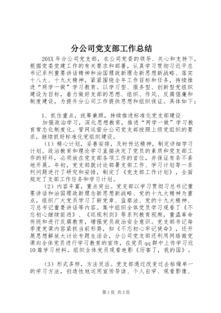 2024年分公司党支部工作总结