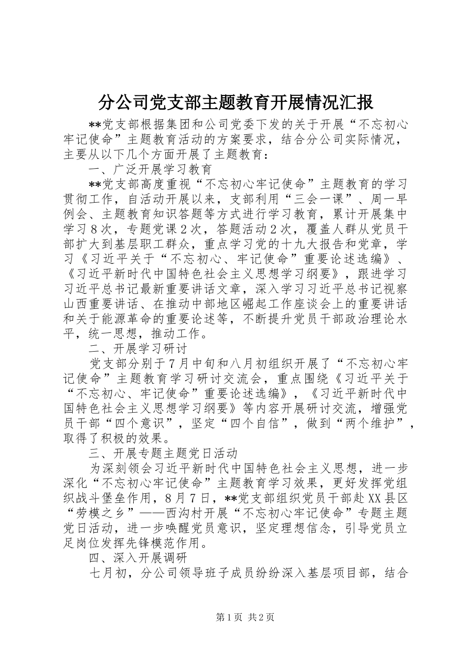 2024年分公司党支部主题教育开展情况汇报_第1页