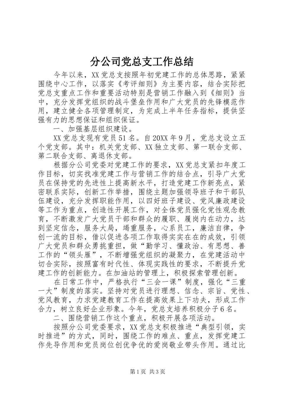 2024年分公司党总支工作总结_第1页