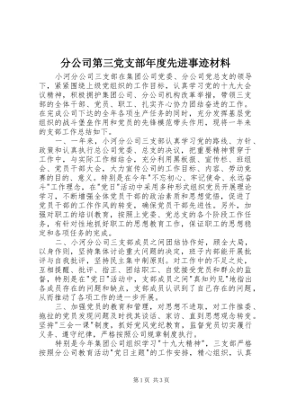 2024年分公司第三党支部年度先进事迹材料