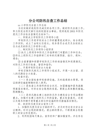 2024年分公司防汛自查工作总结