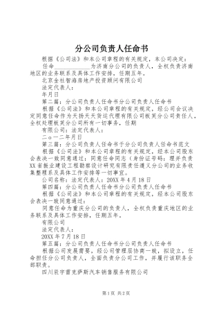 2024年分公司负责人任命书