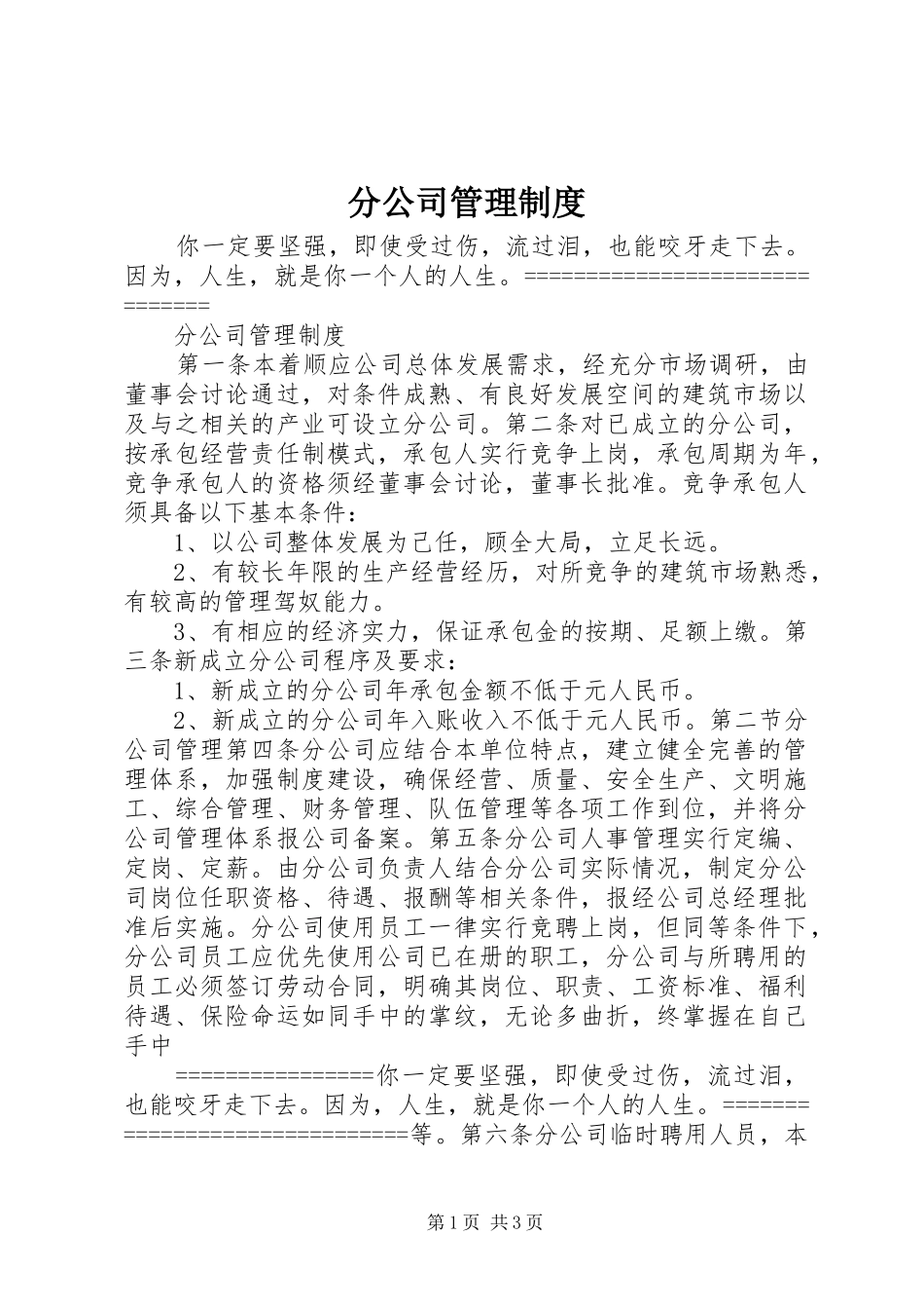 2024年分公司管理制度_第1页
