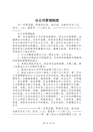 2024年分公司管理制度