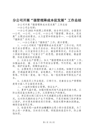 2024年分公司开展强管理降成本促发展工作总结