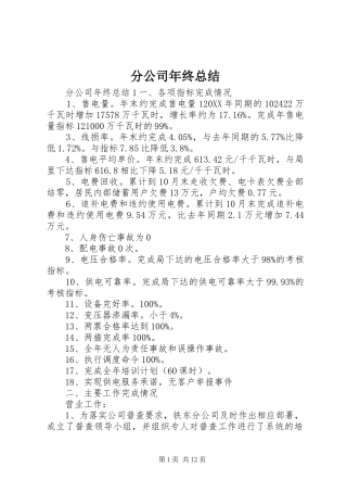 2024年分公司年终总结