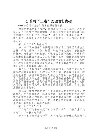 2024年分公司三违处理暂行办法
