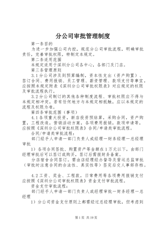 2024年分公司审批管理制度