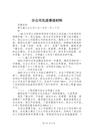 2024年分公司先进事迹材料