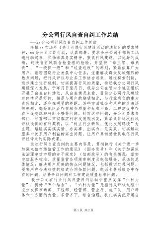 2024年分公司行风自查自纠工作总结