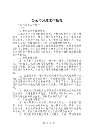 2024年分公司月度工作报告