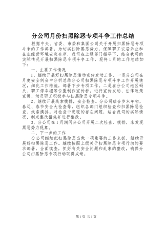 2024年分公司月份扫黑除恶专项斗争工作总结