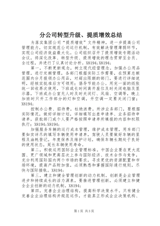 2024年分公司转型升级提质增效总结