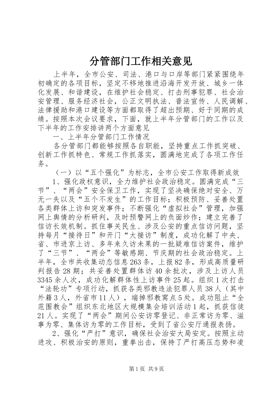2024年分管部门工作相关意见_第1页
