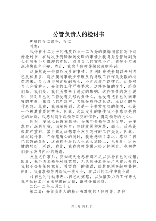 2024年分管负责人的检讨书
