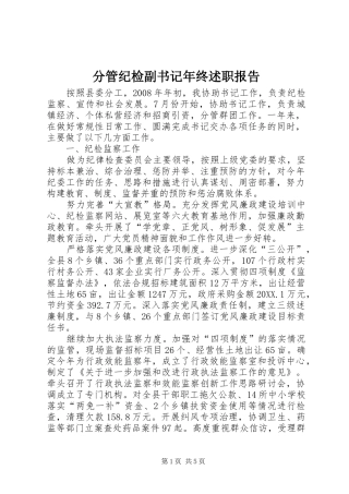 2024年分管纪检副书记年终述职报告