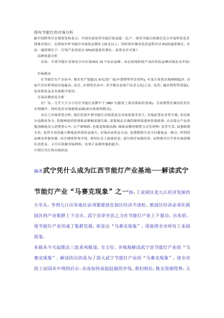 国内节能灯的市场分析