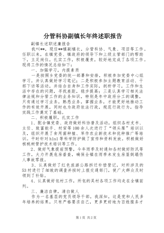 2024年分管科协副镇长年终述职报告