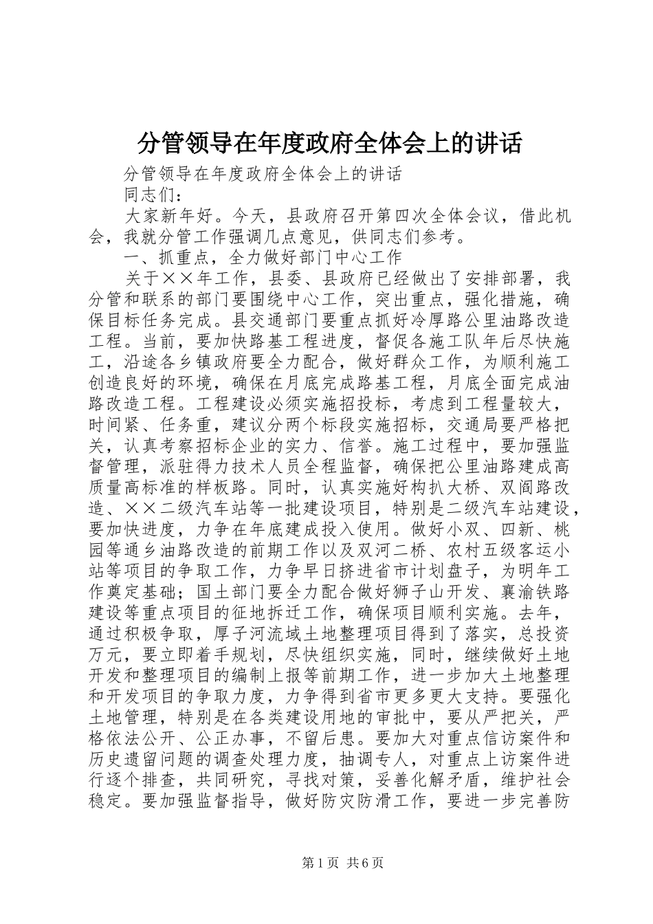2024年分管领导在年度政府全体会上的致辞_第1页