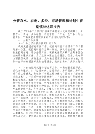 2024年分管农水农电多经市场管理和计划生育副镇长述职报告